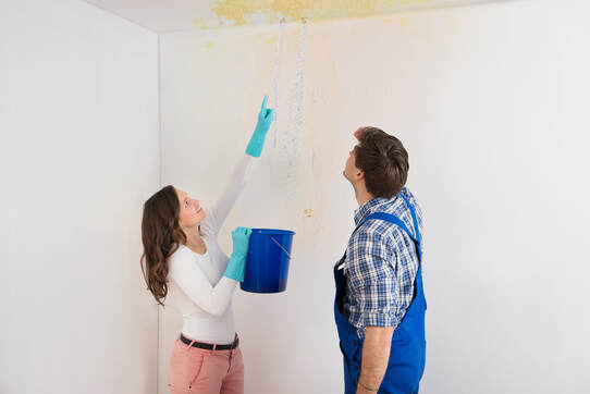 Woman showing plumber the water coming through her ceiling